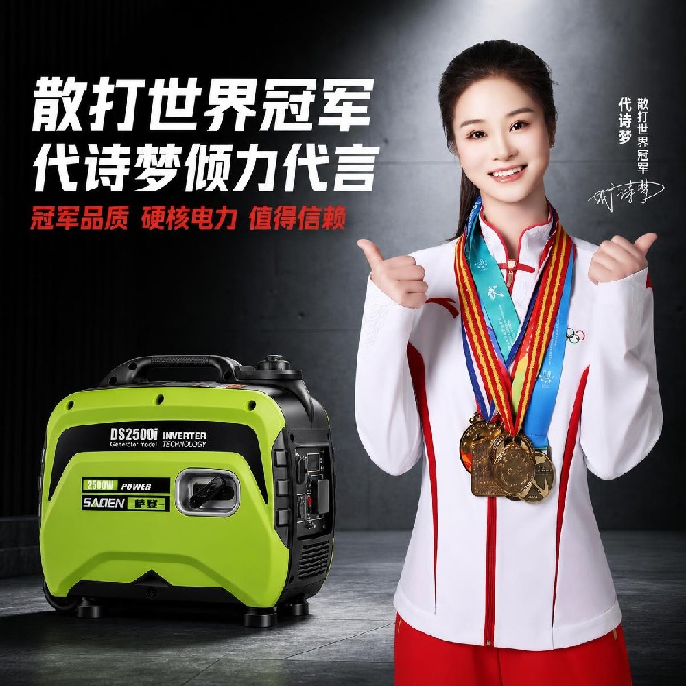 2500瓦數碼變頻靜音汽油發電機拉桿設計DS2500i